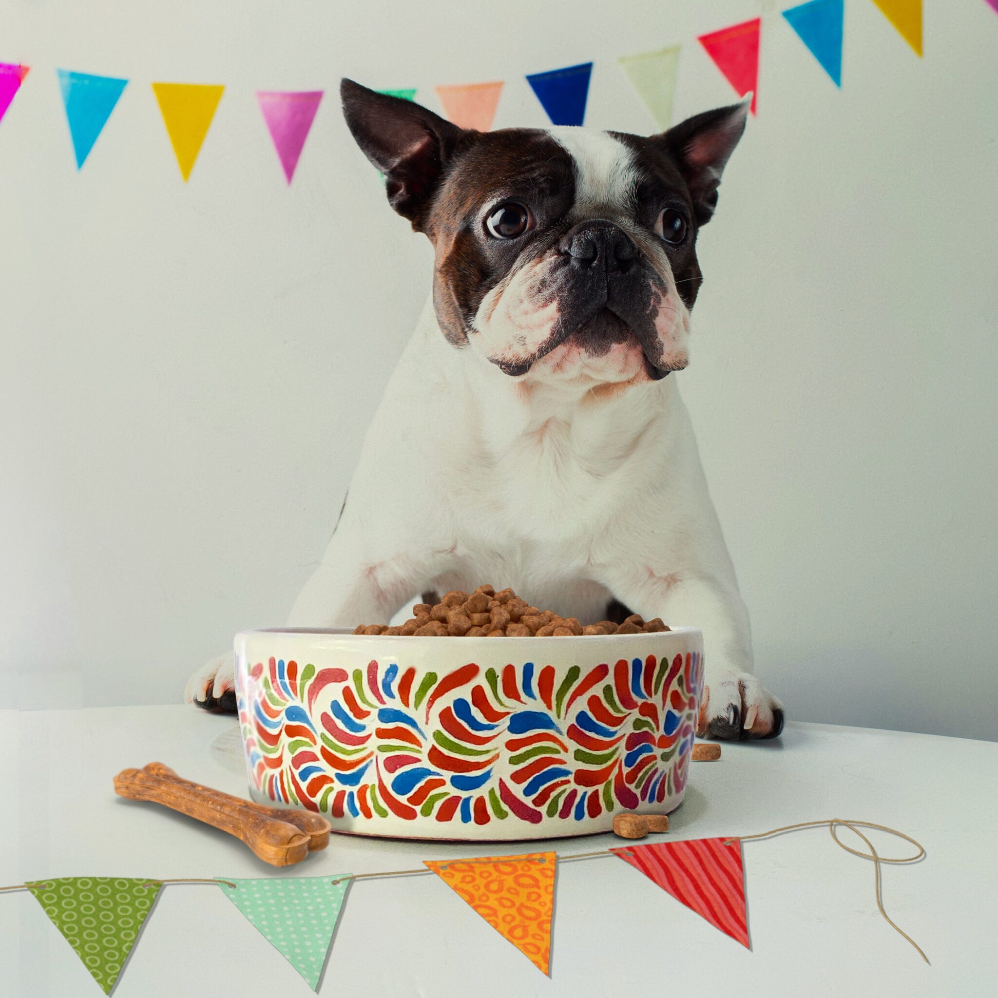 Copia de Tazón de Talavera para mascotas con su nombre Bajo pedido Raza Grande